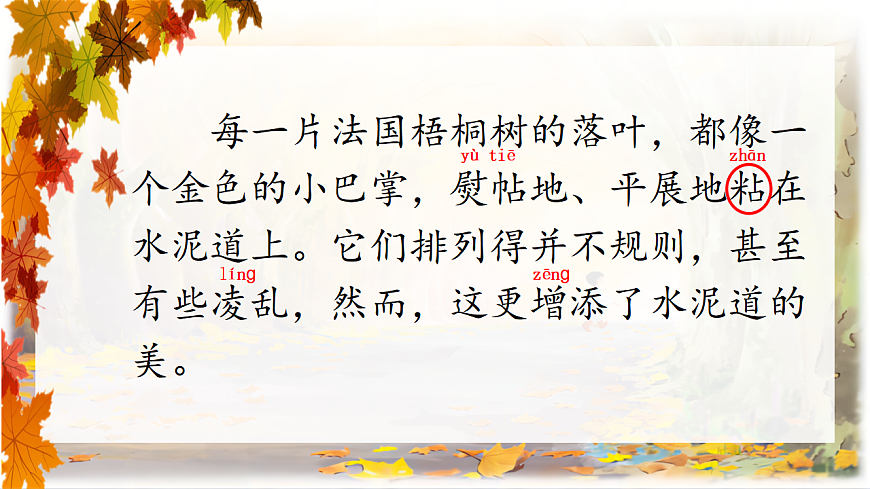 5 铺满金色巴掌的水泥道 课件第6页