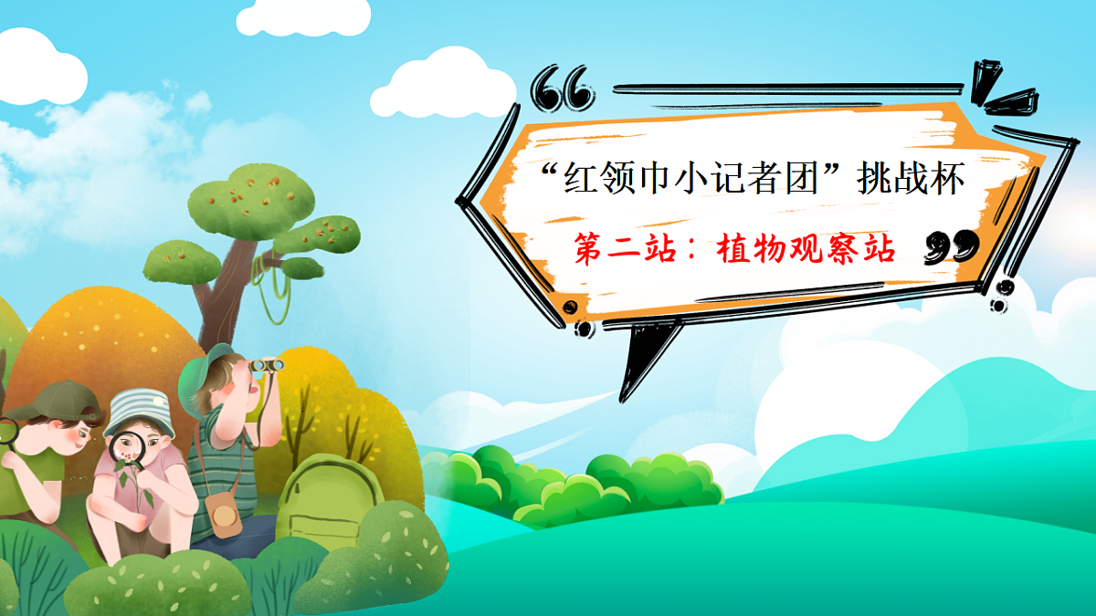 15 金色的草地 课件第1页