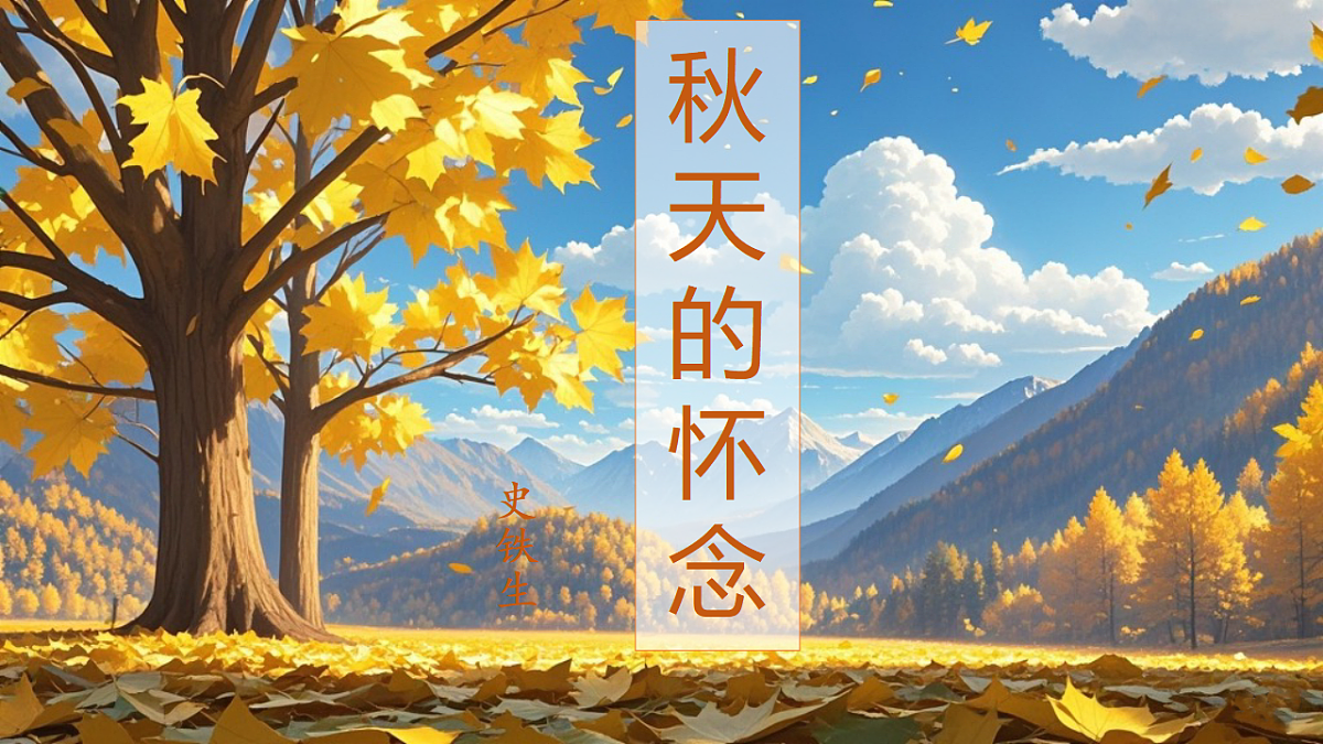 17343294第1页