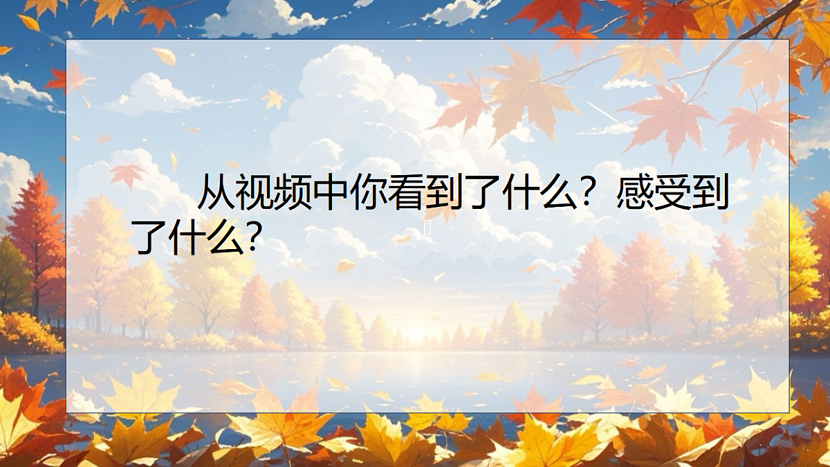 17343294第3页