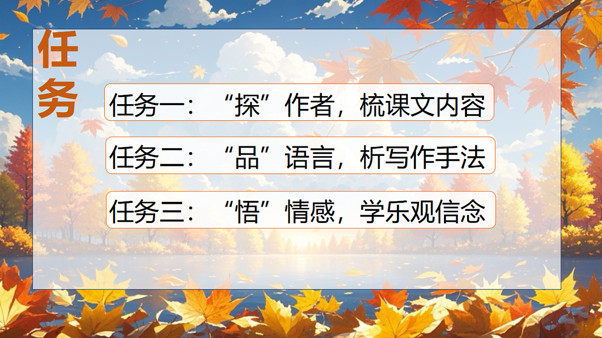 17343294第5页