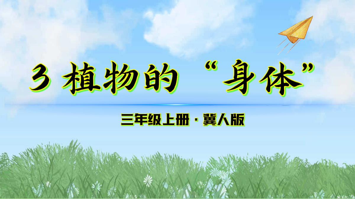 17343307第1页