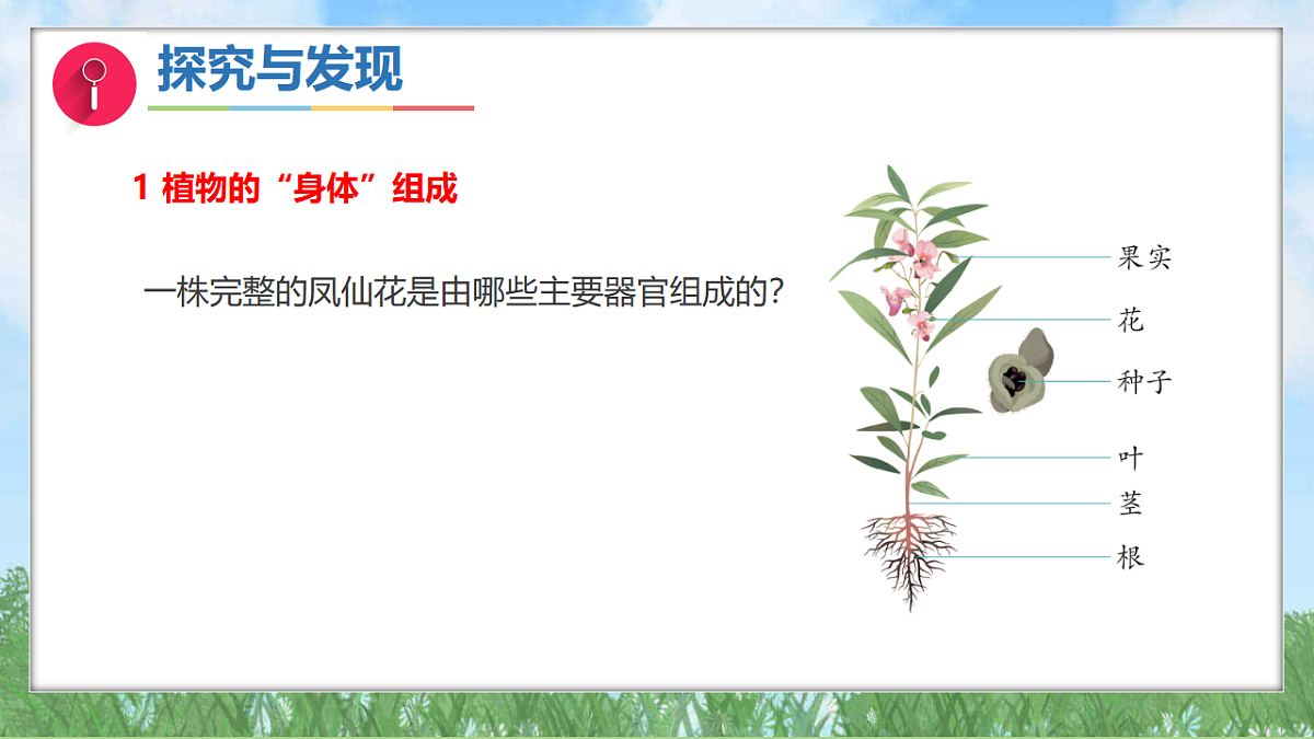 17343307第5页