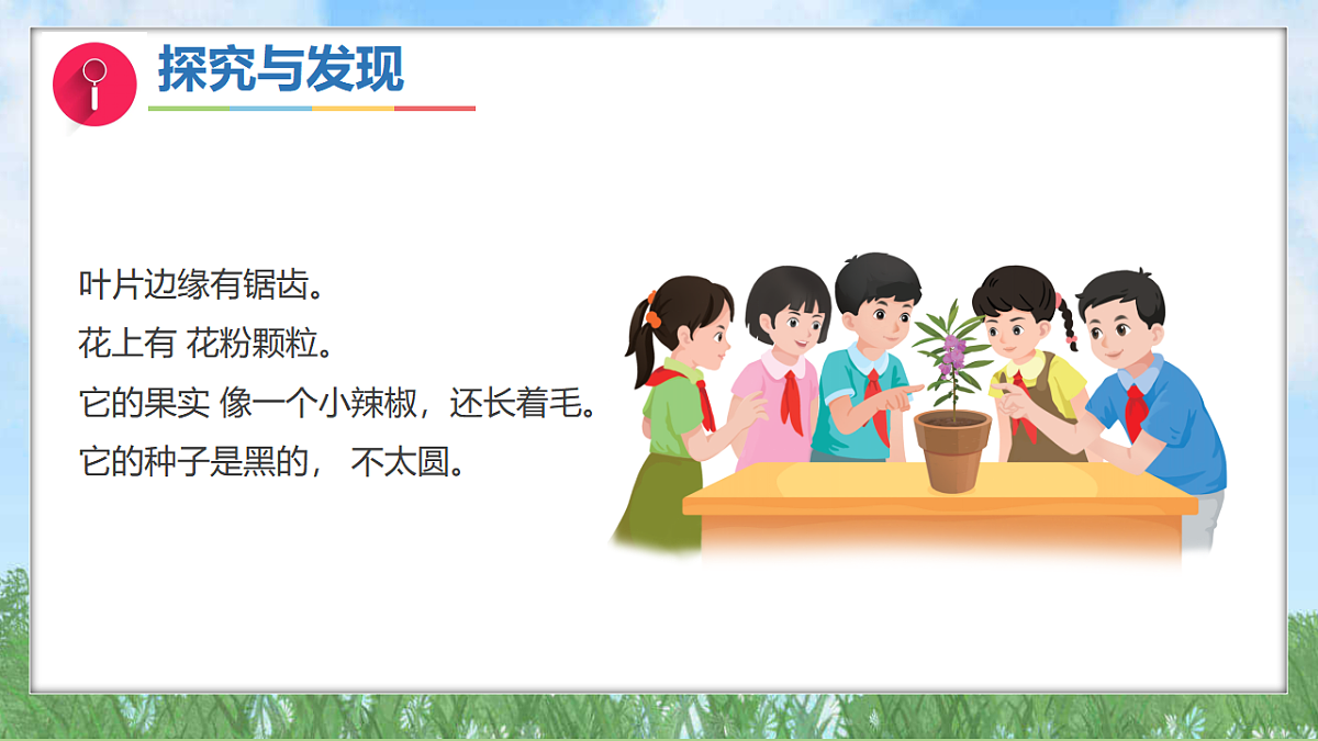 17343307第7页