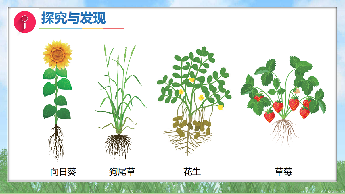 17343307第8页