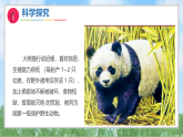 15《珍惜野生动物》（课件）科学三年级上册（湘科版2024）