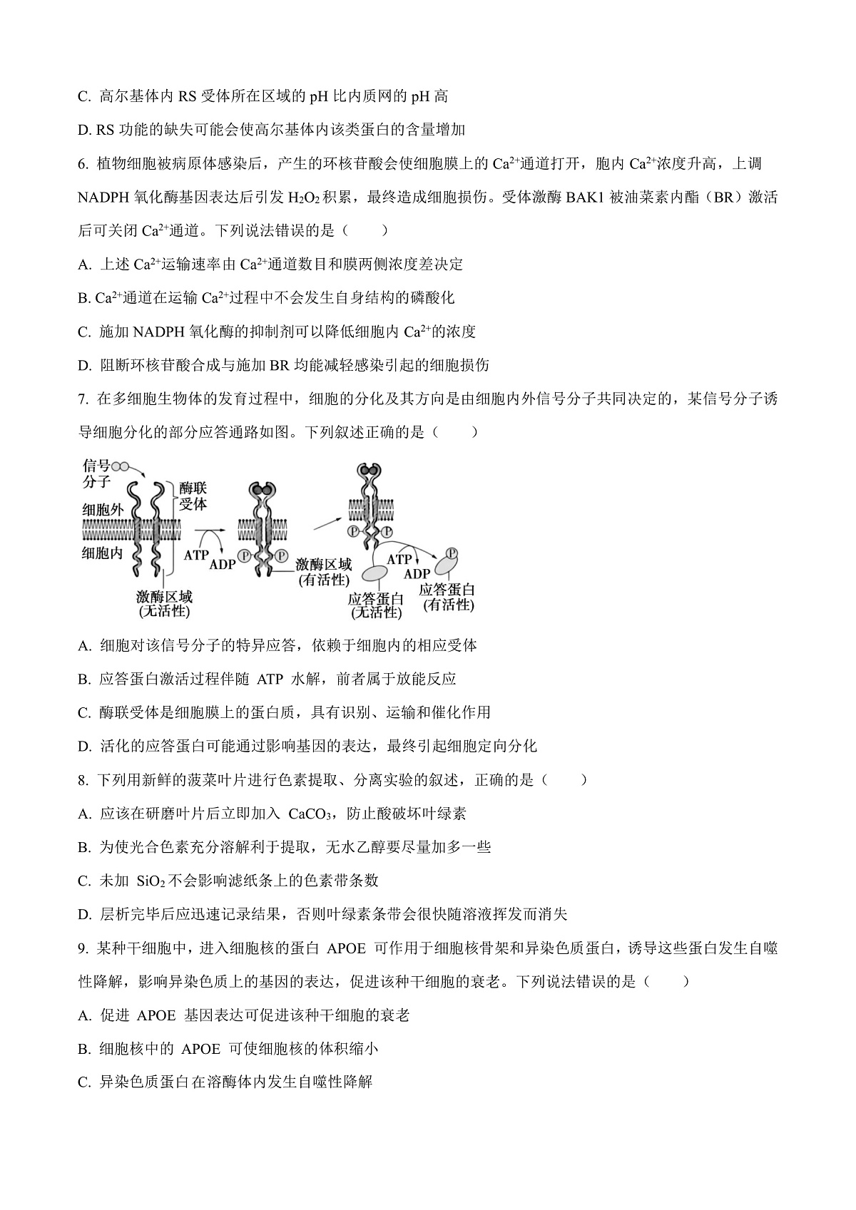 湖南省长沙市开福区湖南省长沙市第一中学2025-2026学年高三上学期9月月考生物试题  Word版无答案第2页