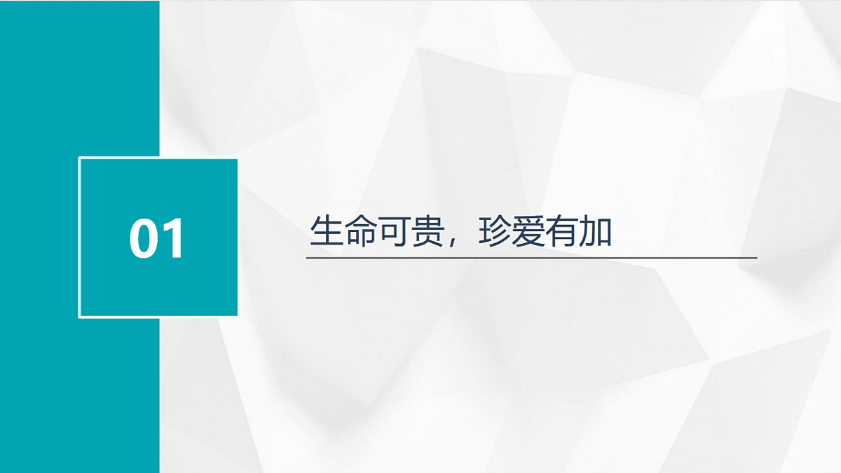17343650第3页