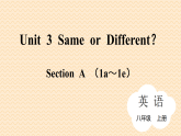 初中英语八年级上册人教版2024  Unit 3 Section A (1a~1e) 课件