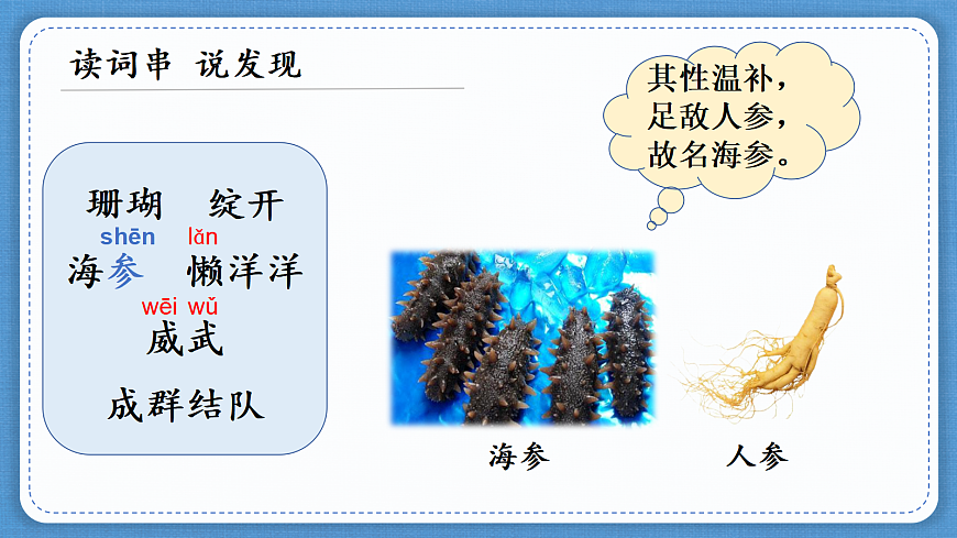16 富饶的西沙群岛 课件第6页