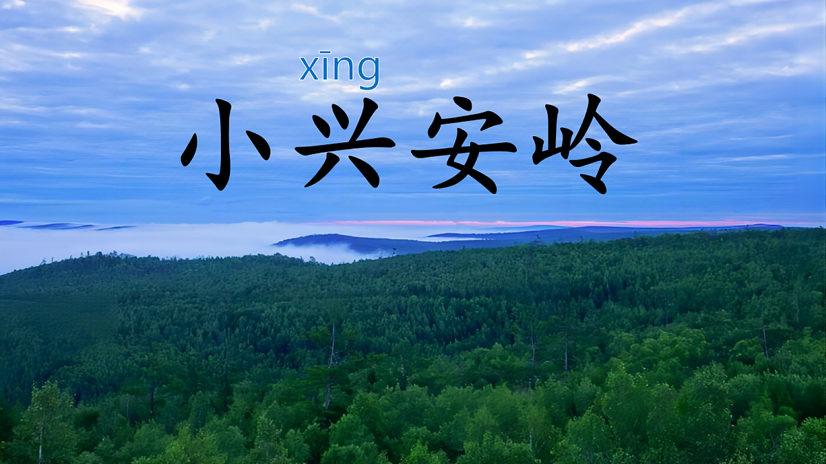 18 美丽的小兴安岭 课件第2页