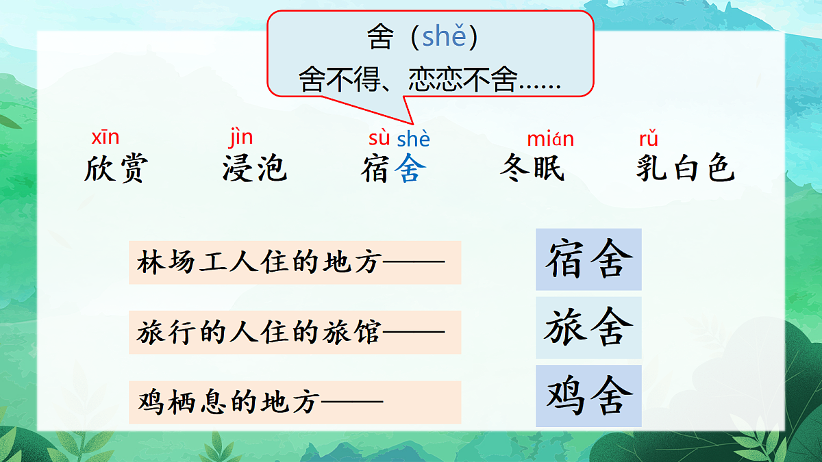 18 美丽的小兴安岭 课件第8页