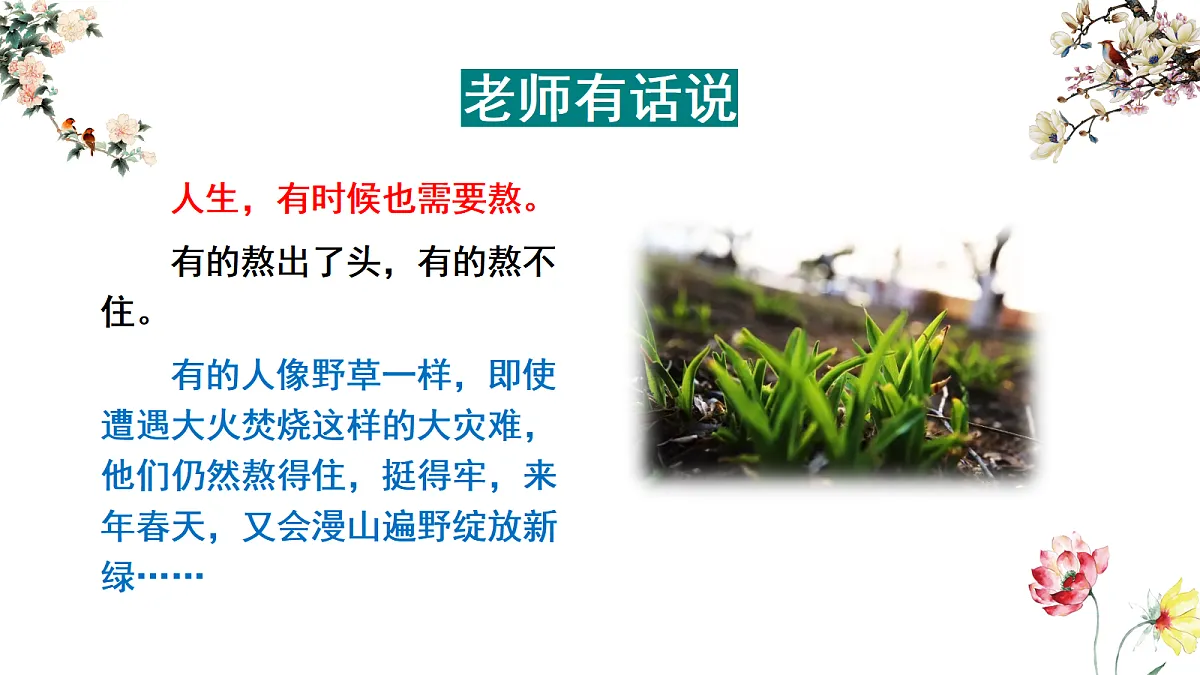 17345369第5页