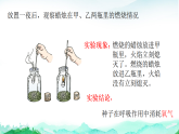 北师大版七年级生物上册第3单元植物的生活第4章绿色开花植物的生活方式第2节呼吸作用课件+学案