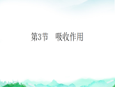 北师大版七年级生物上册第3单元植物的生活第4章绿色开花植物的生活方式第3节吸收作用课件+学案