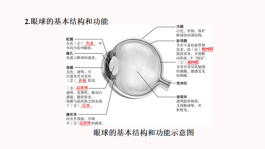 17345846第4页