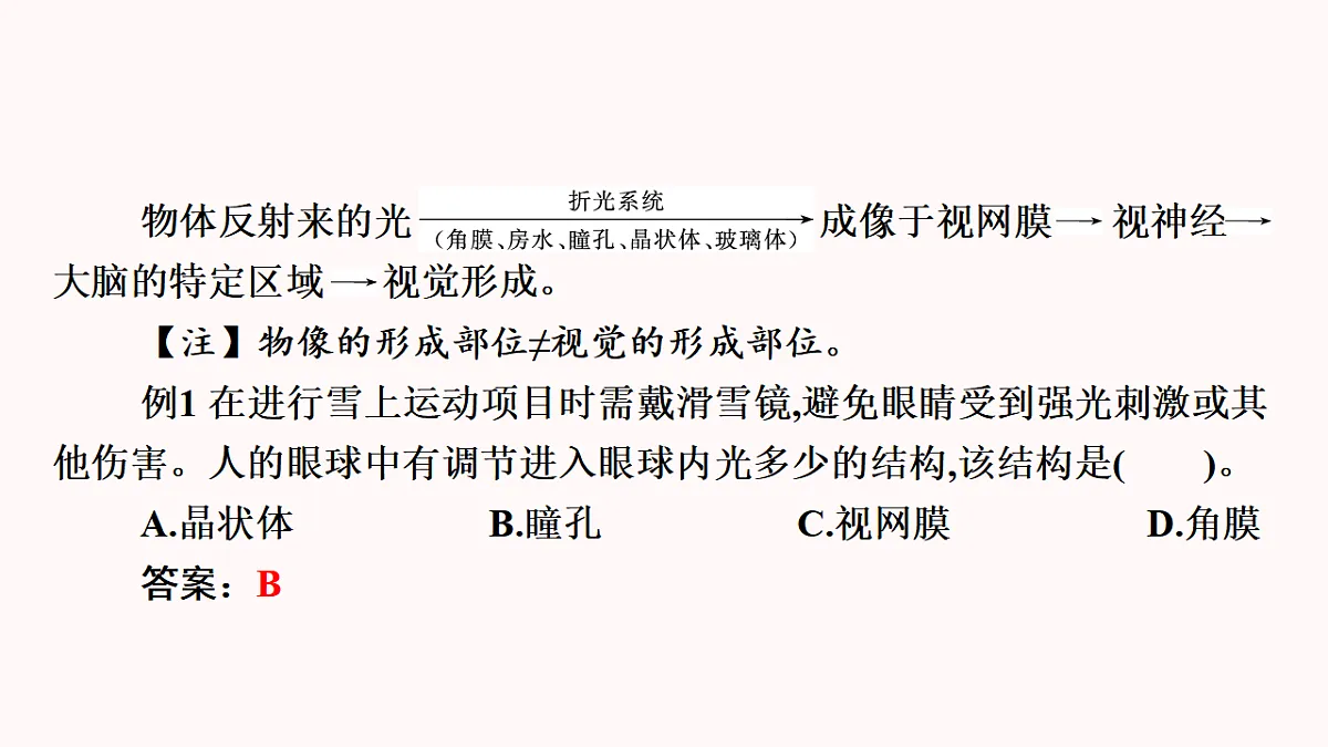 17345846第6页