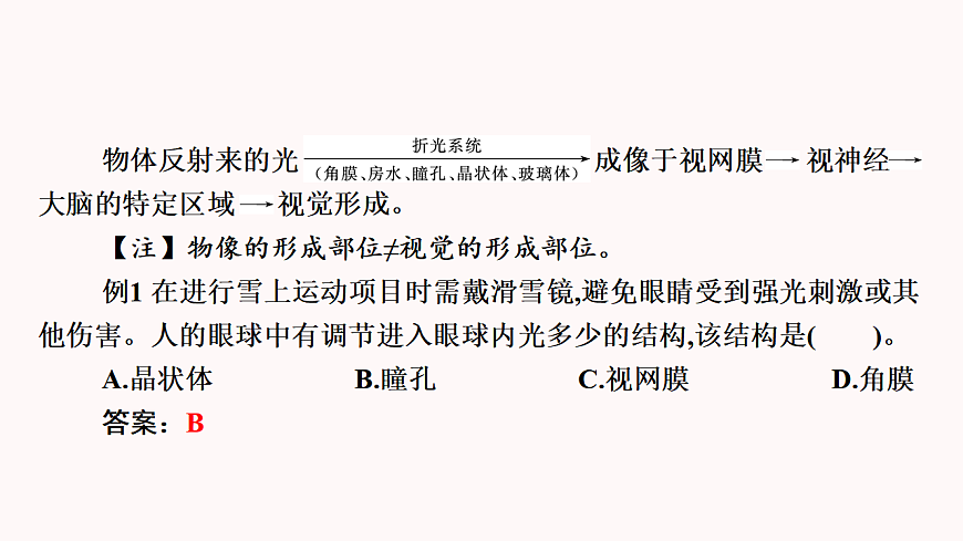 17345846第6页