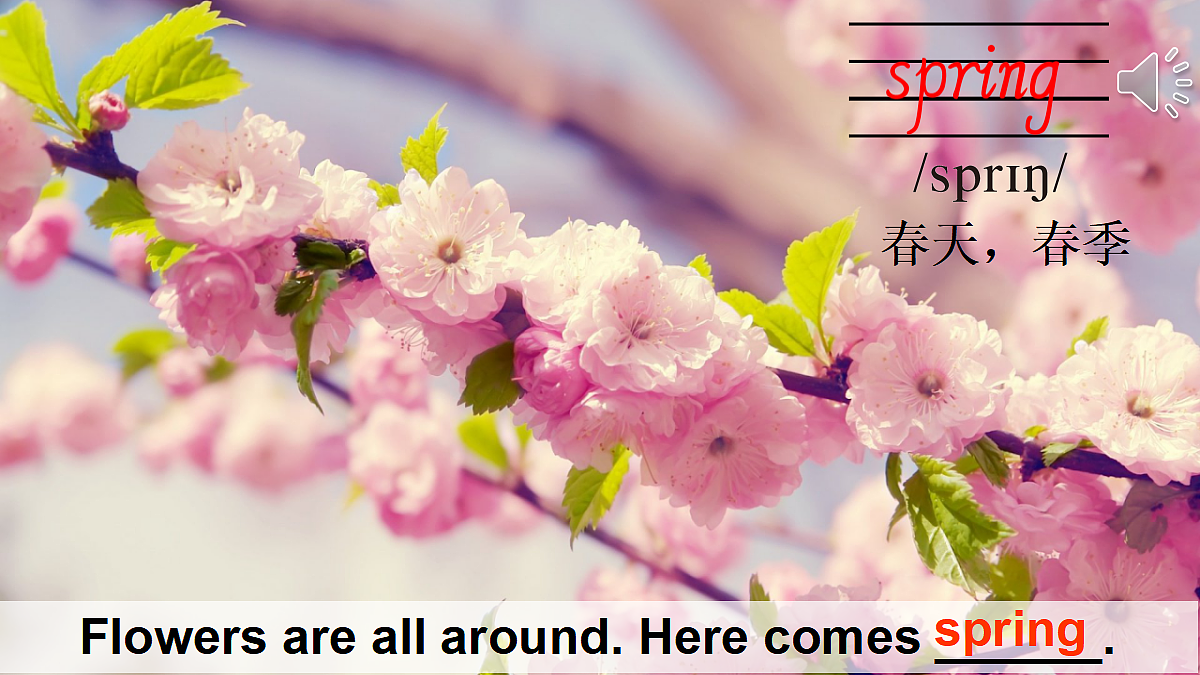 17345954第5页