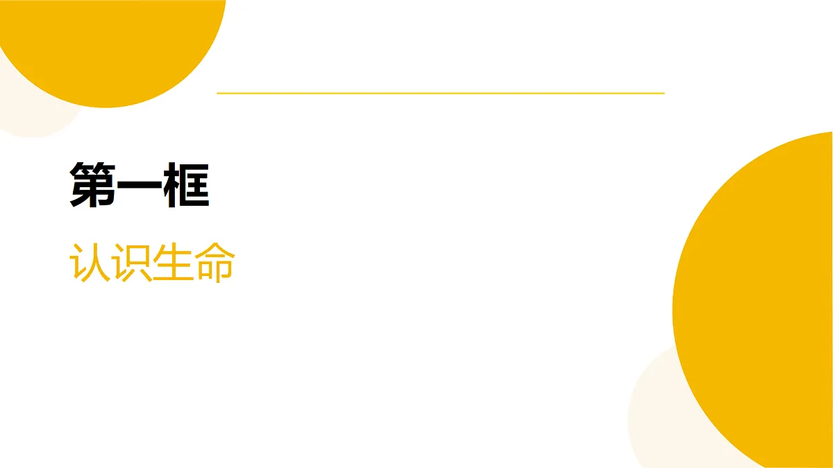17346113第2页