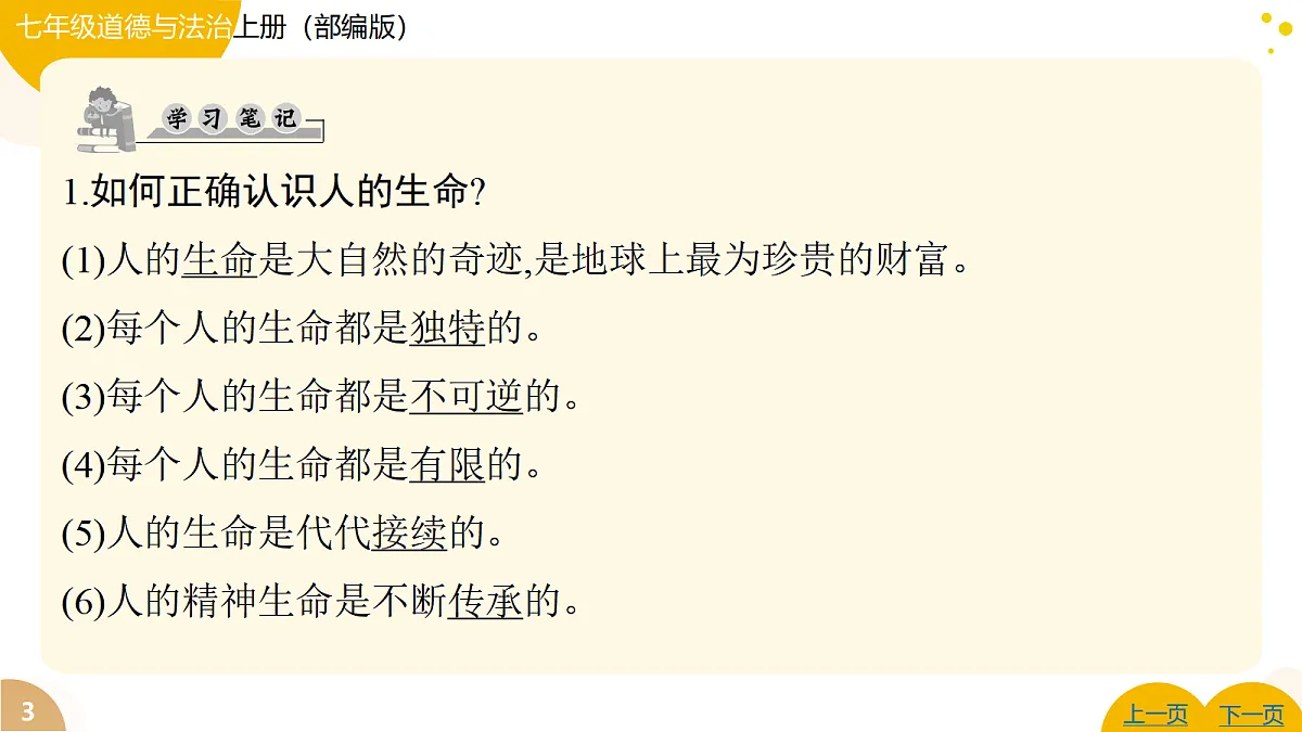17346113第3页