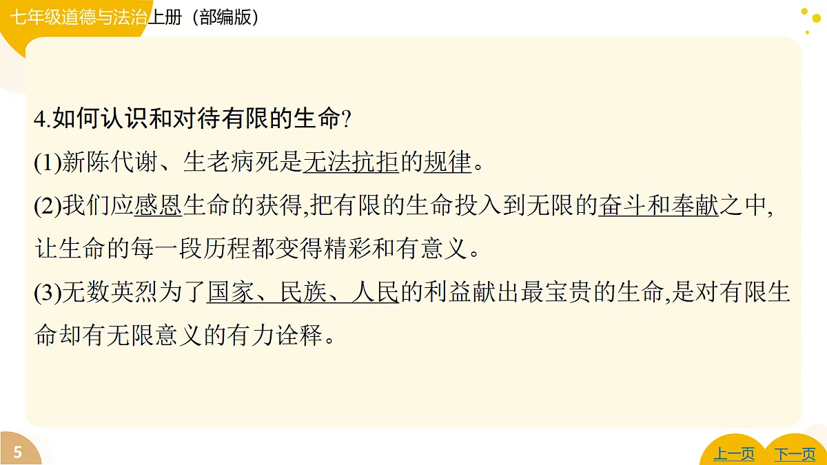 17346113第5页