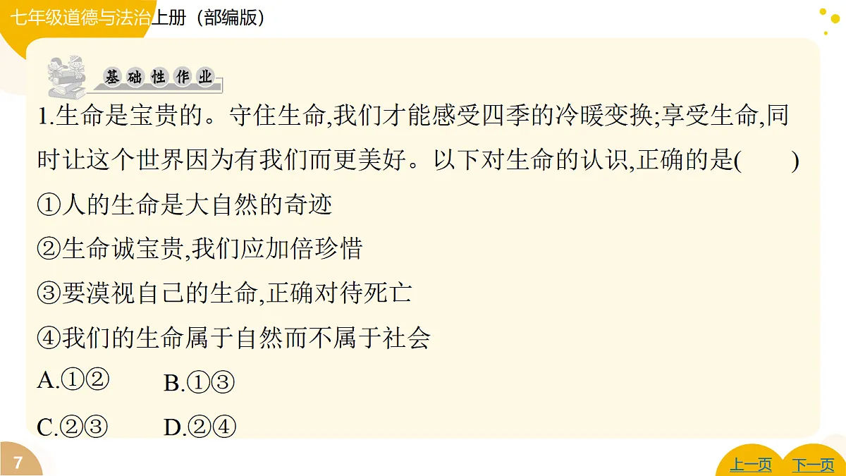 17346113第7页