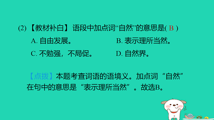 17346139第5页