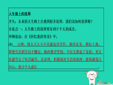 安徽省2025七年级语文上册第四单元大概念引领下的大单元复习作业课件新人教版（含答案）