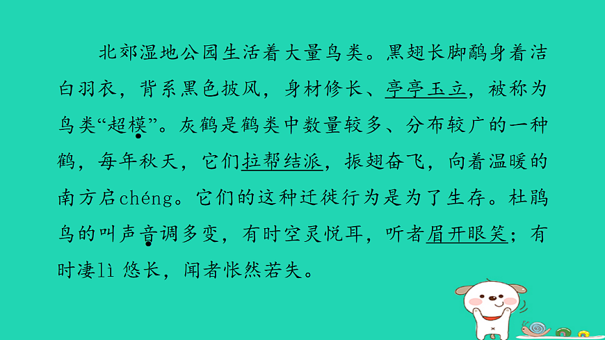 17346162第3页