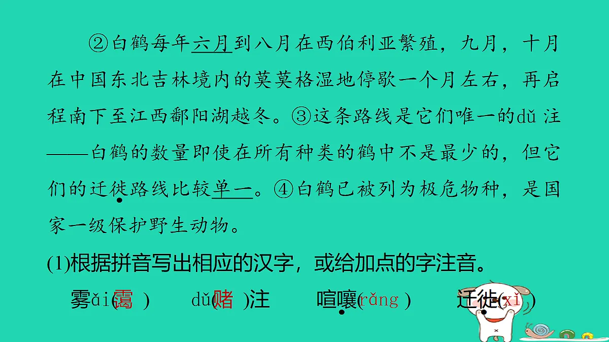 17346163第3页