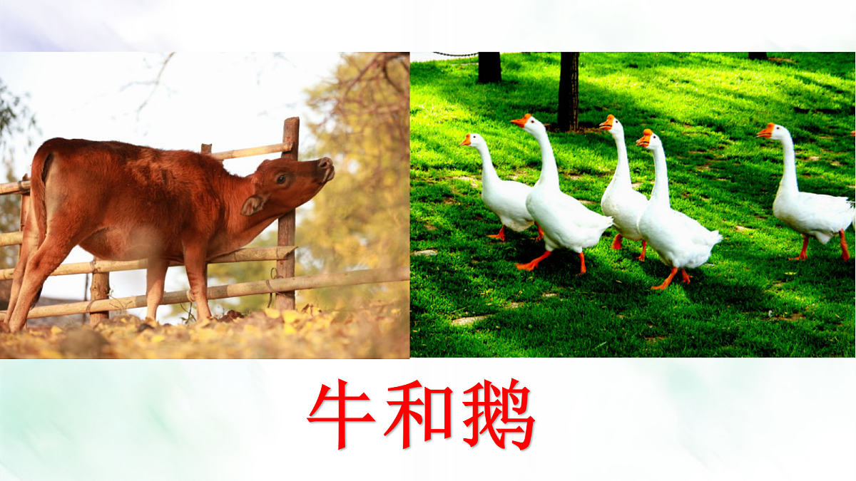 17346212第1页