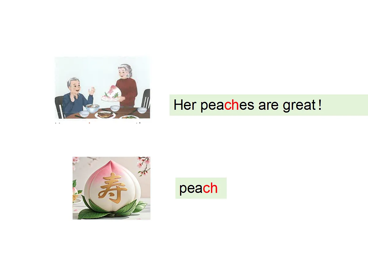 17346254第6页