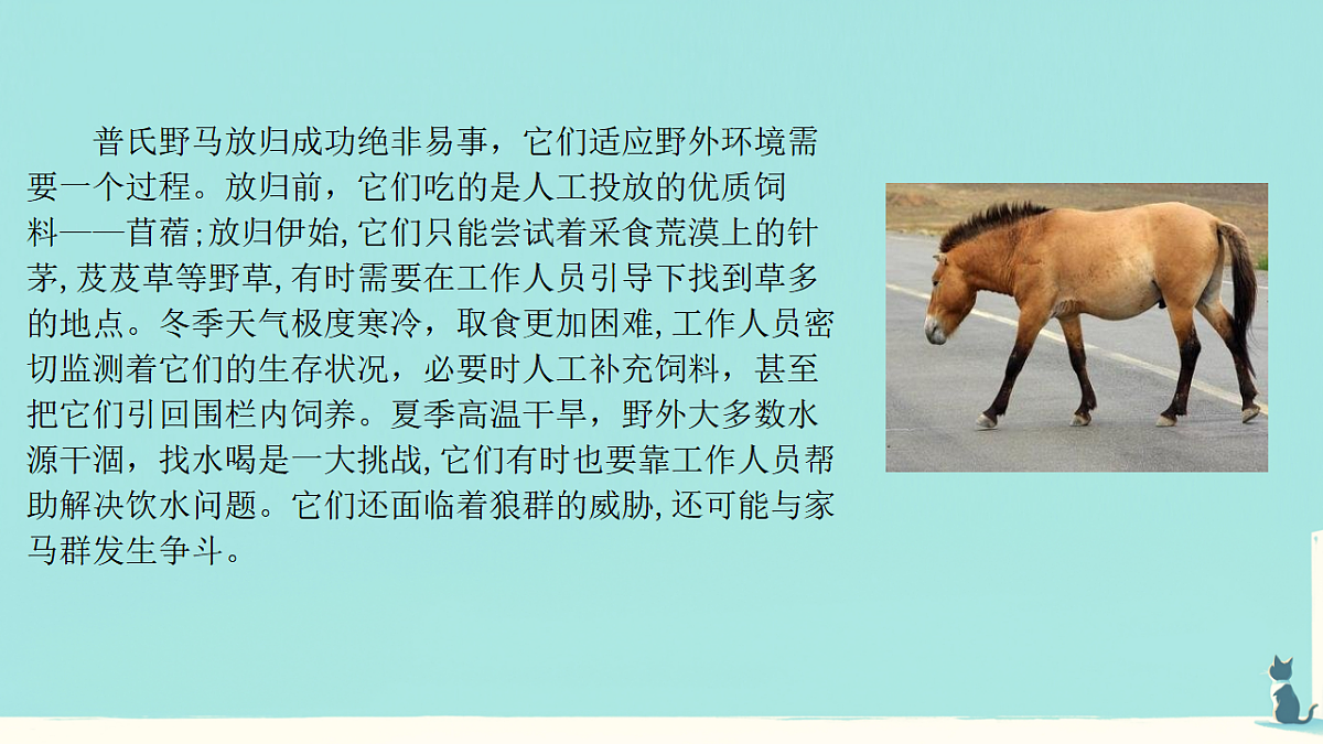 17346259第2页