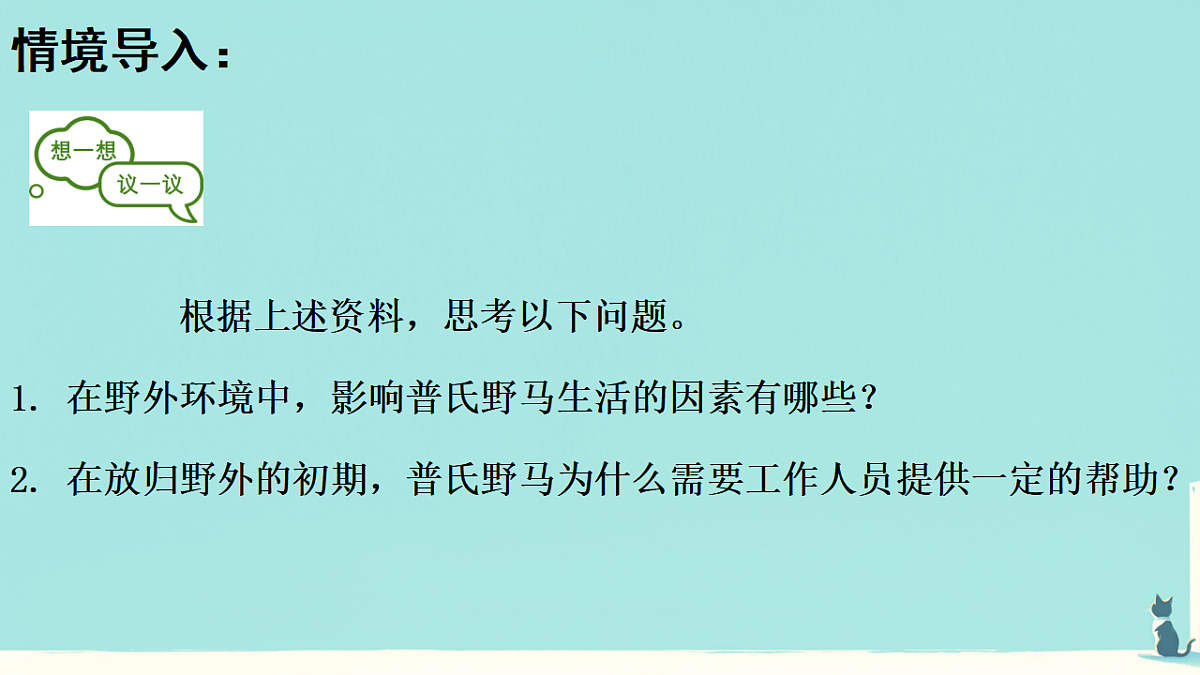17346259第4页