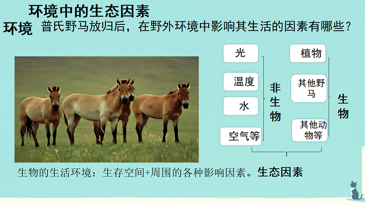 17346259第5页