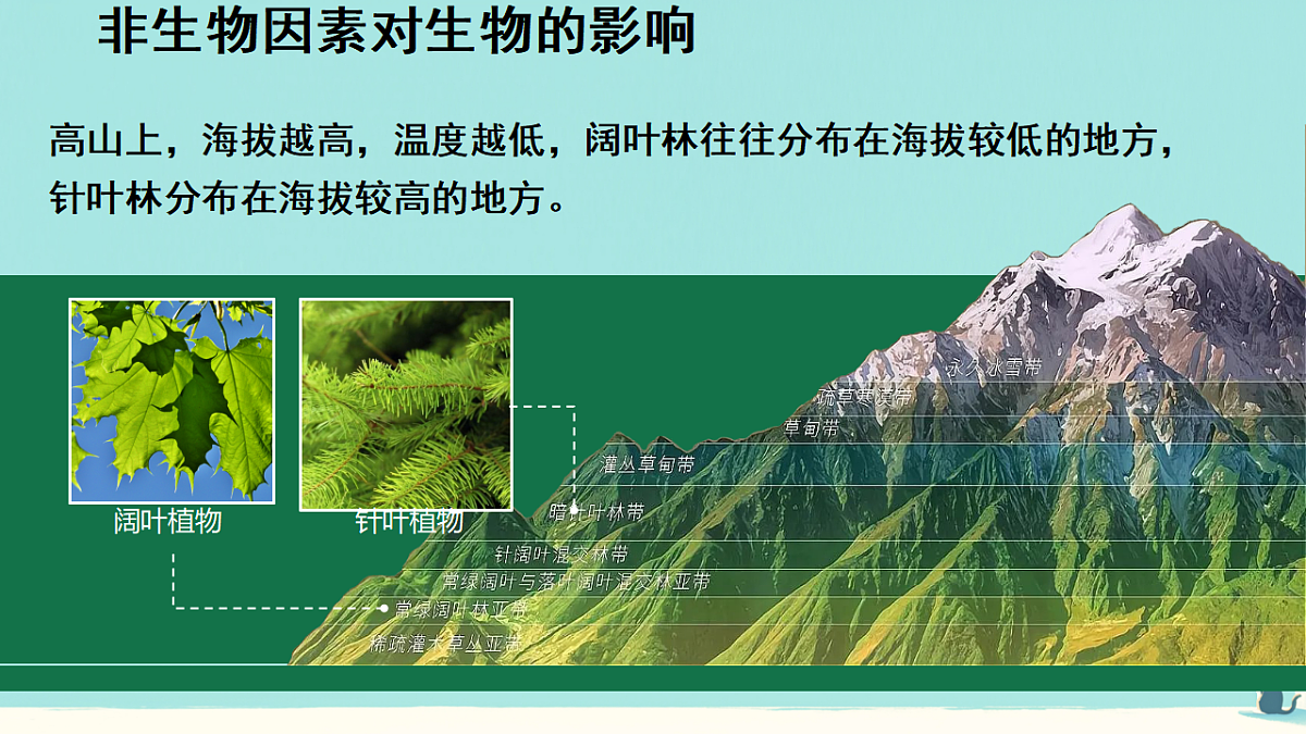 17346259第7页