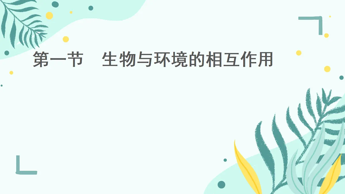 17346260第1页