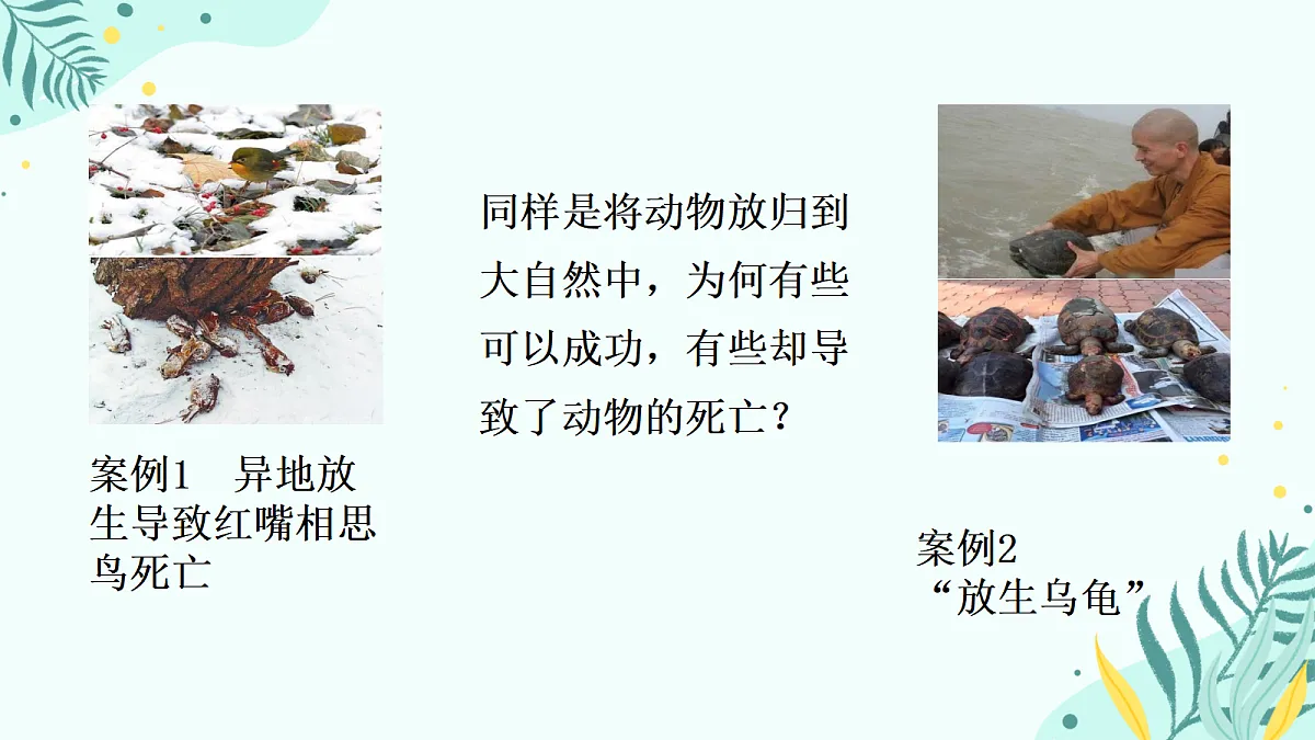17346260第3页