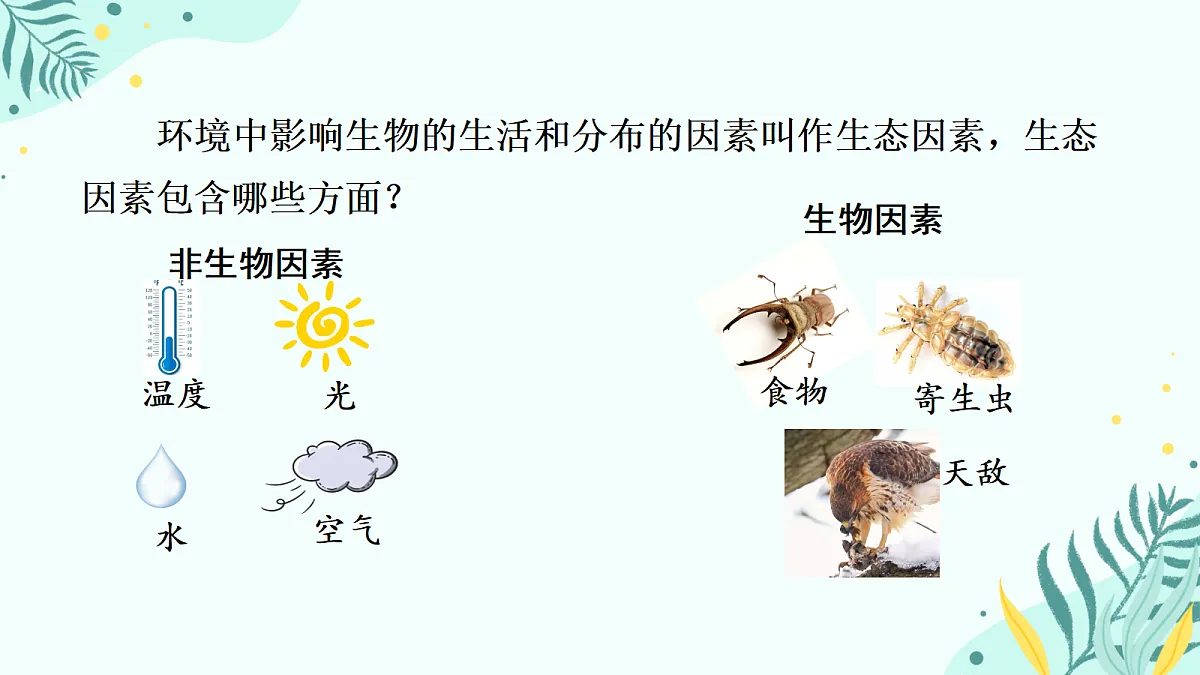 17346260第5页