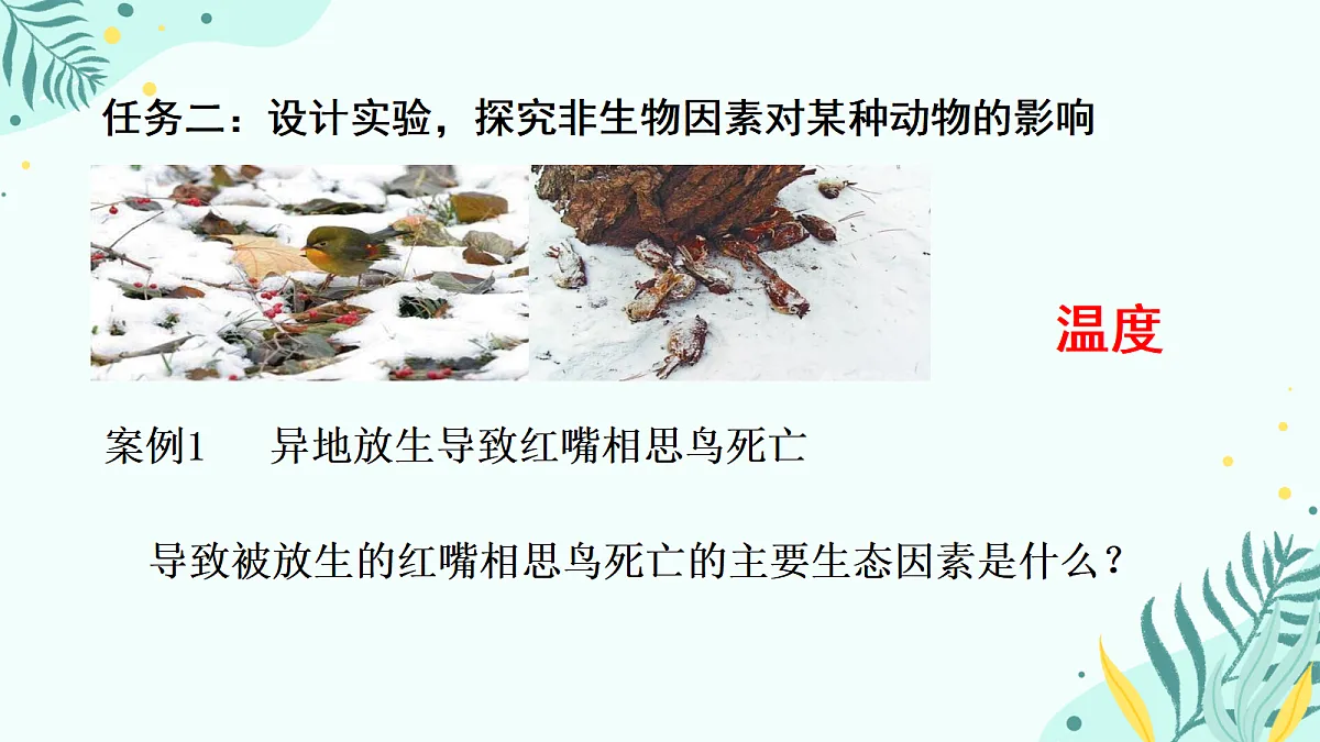 17346260第6页