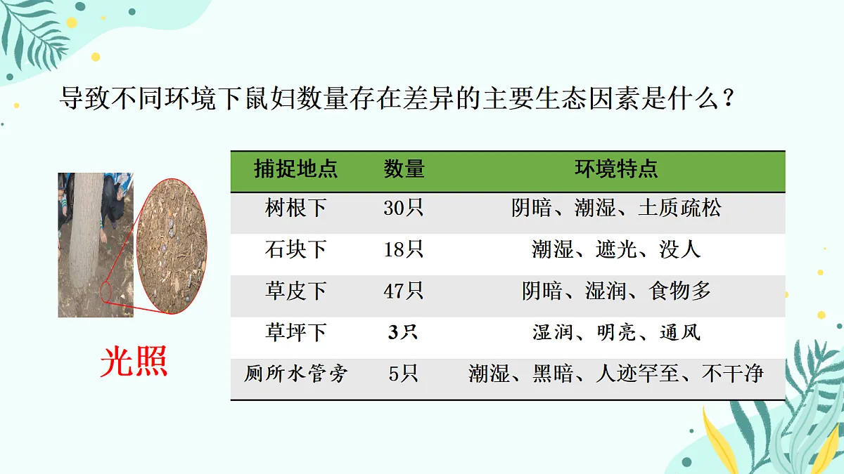 17346260第8页