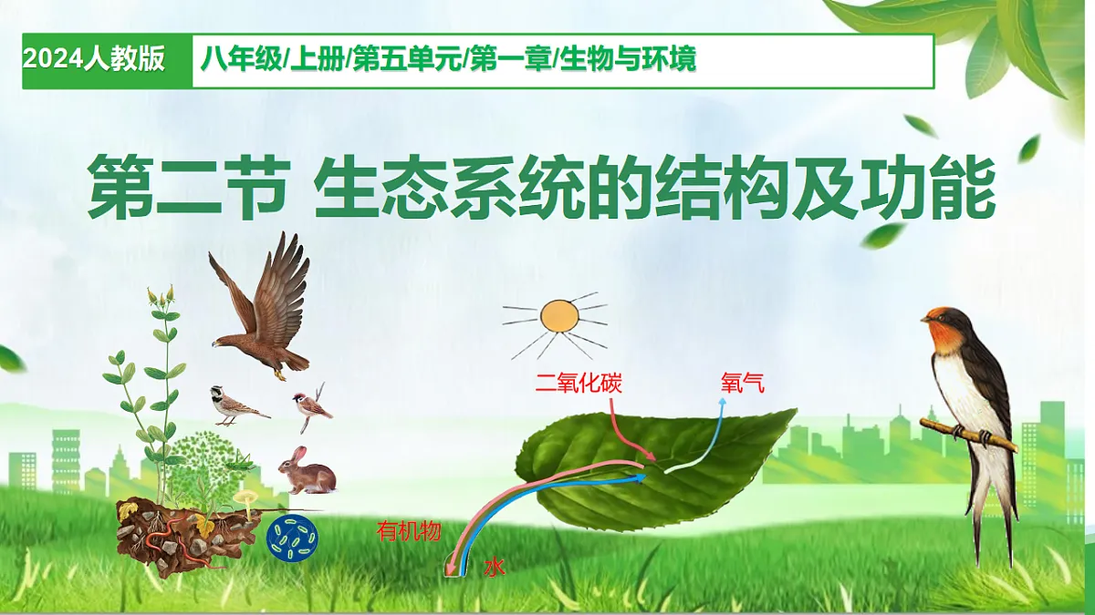 17346391第1页