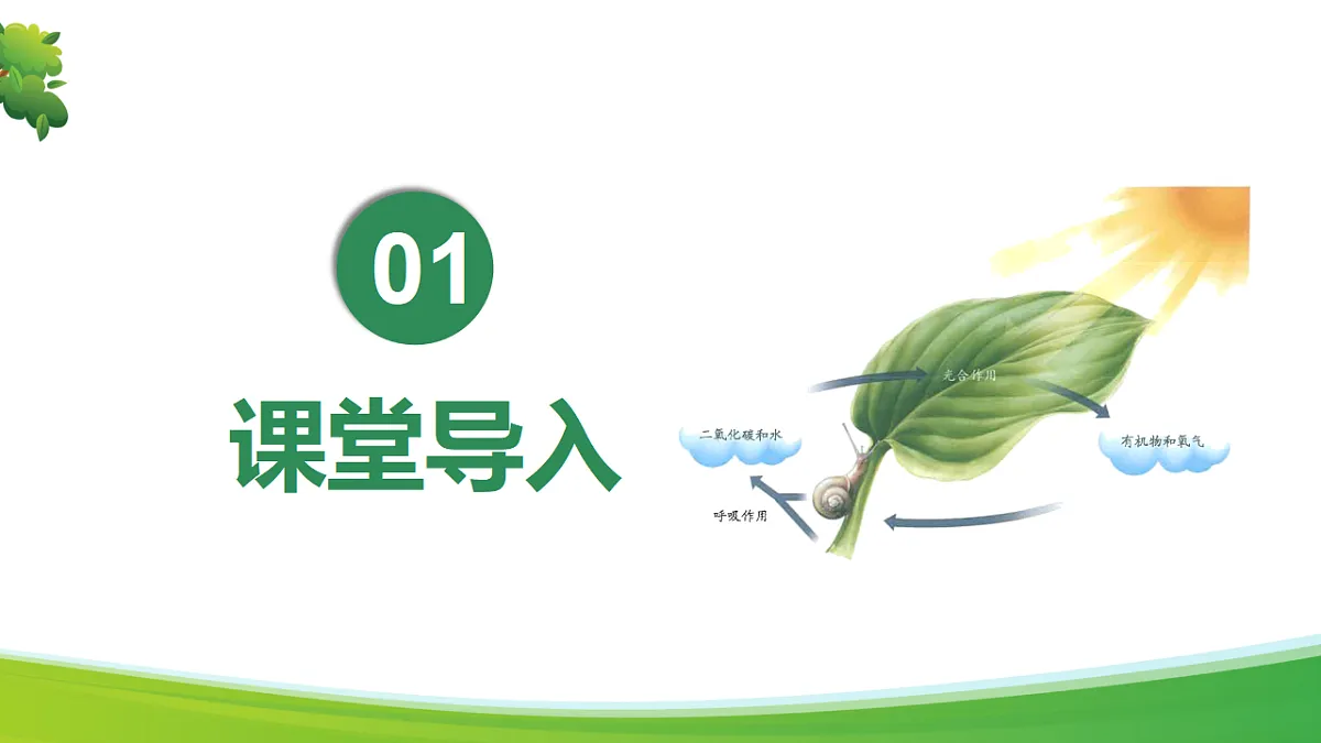 17346391第3页