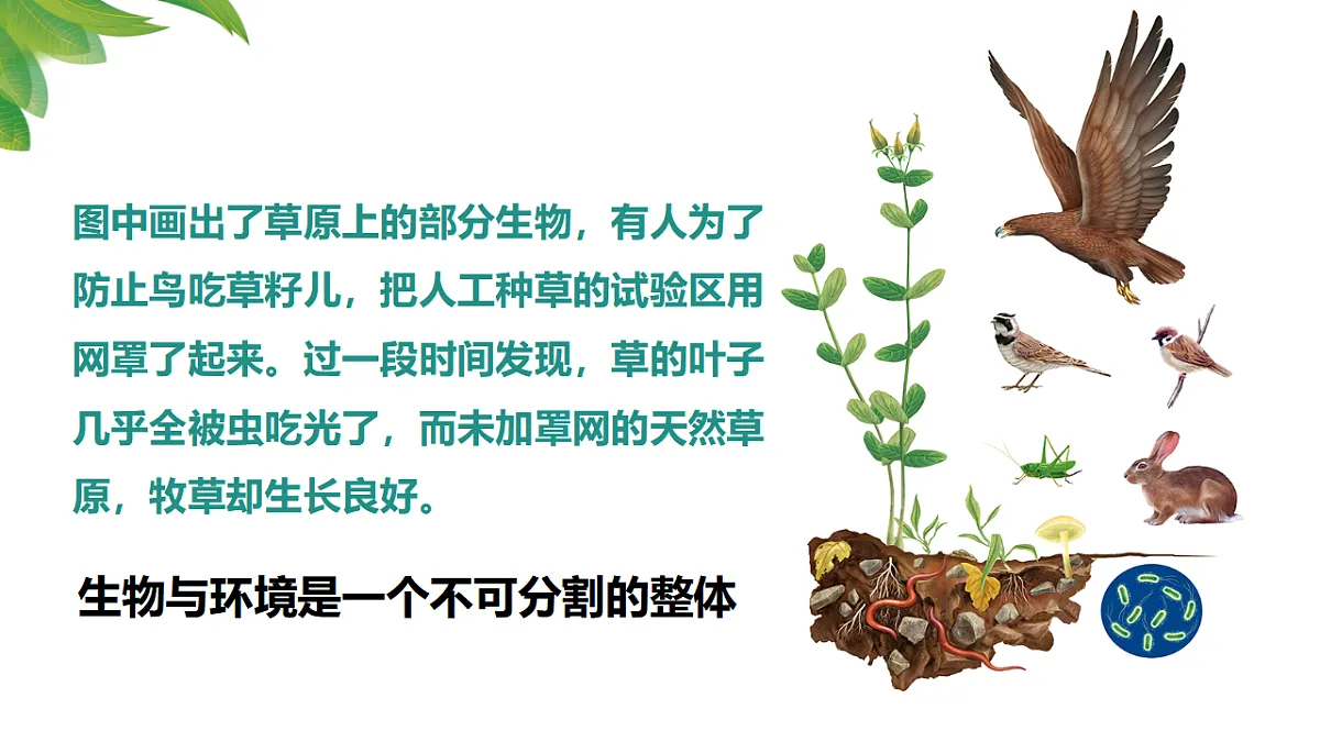 17346391第4页