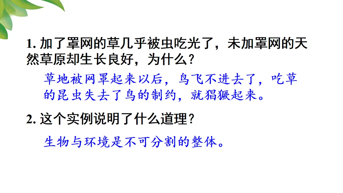 17346391第5页