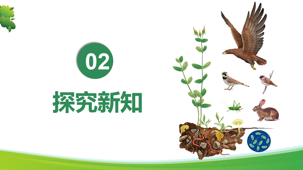 17346391第6页