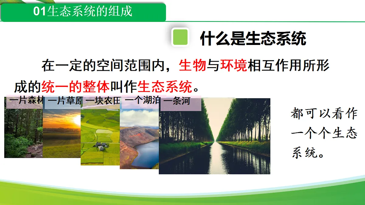 17346391第7页