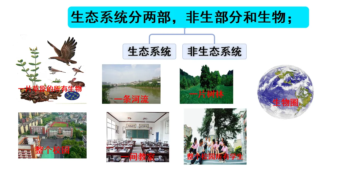 17346391第8页