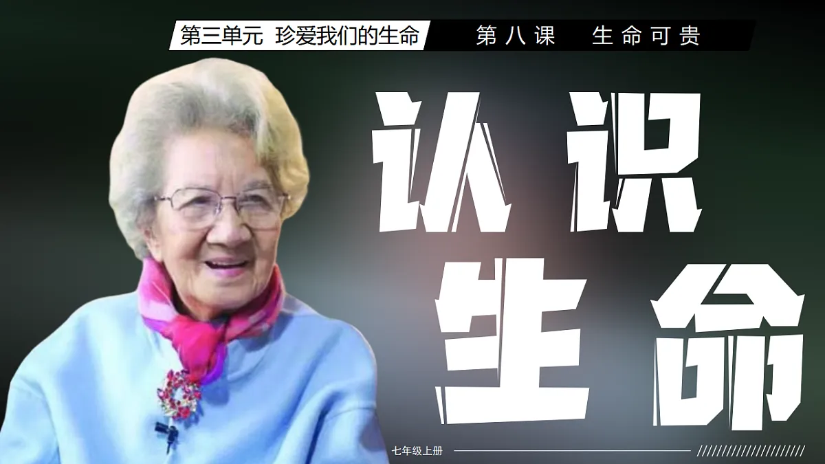 17346586第2页